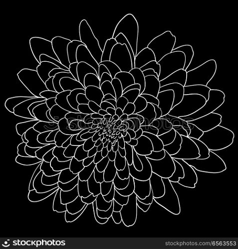 Beautiful monochrome sketch, black and white dahlia flower isolated.. Beautiful monochrome sketch, black and white dahlia flower isolated