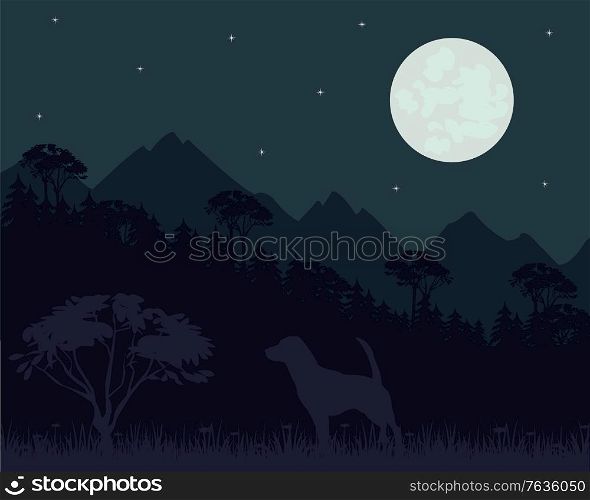 Beautiful night landscape of the mountain and glade. Mountains and wood landscape in starry night