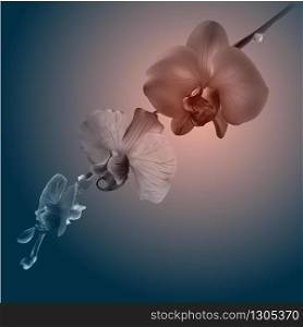 Beautiful orchid flowers. Vintage card. Sad mood. Photo realistic botanical vector illustration