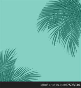 Beautiful Palm Leaf Background. Vector Illustration. EPS10. Beautiful Palm Leaf Background. Vector Illustration