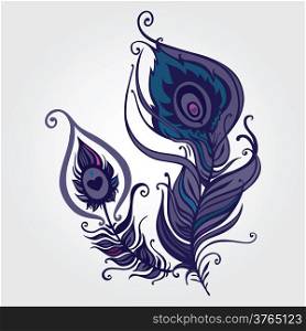Beautiful peacock feather. Hand Drawn vector illustration