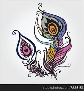 Beautiful peacock feather. vector illustration