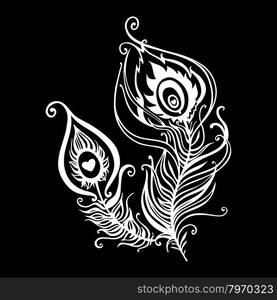 Beautiful peacock feathers. Beautiful peacock feathers. Hand Drawn vector illustration