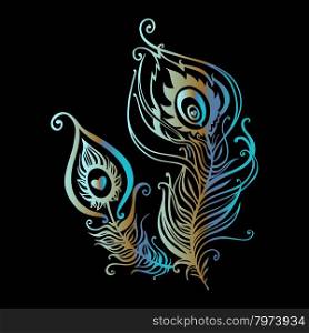 Beautiful peacock feathers. Beautiful peacock feathers. Hand Drawn vector illustration