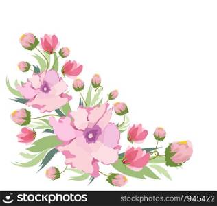 beautiful peonies on a white background
