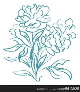 Beautiful peony bouquet design on white background. Hand drawn vector illustration.