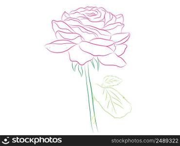 Beautiful pink bouquet of rose flower isolated on background. Design greeting cards and invitations for your Wedding, Valentine&rsquo;s Day, vector illustration