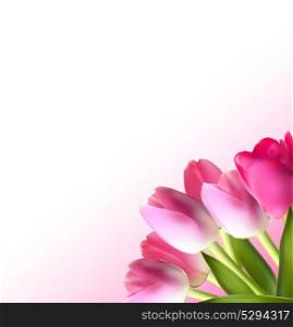 Beautiful Pink Realistic Tulip Background Vector Illustration EPS10. Beautiful Pink Realistic Tulip Background Vector Illustration