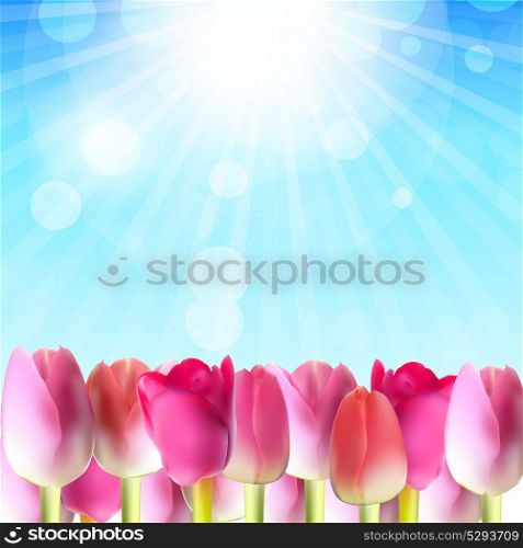 Beautiful Pink Tulips Against Shiny Sky Vector Illustration EPS10. Beautiful Pink Tulips Against Shiny Sky Vector Illustration