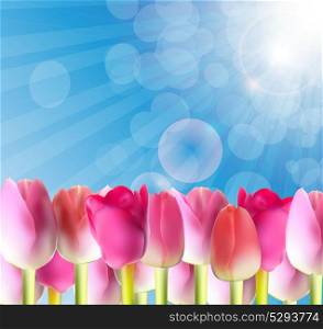 Beautiful Pink Tulips Against Shiny Sky Vector Illustration EPS10. Beautiful Pink Tulips Against Shiny Sky Vector Illustration