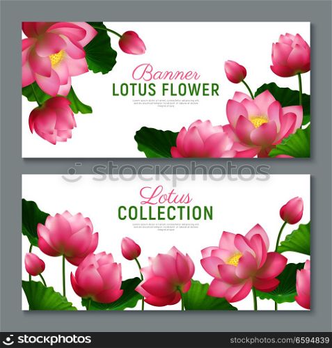Beautiful realistic lotus flowers collection 2 ornamental horizontal banners set with lettering on white background vector illustration . Realistic Lotus Banners