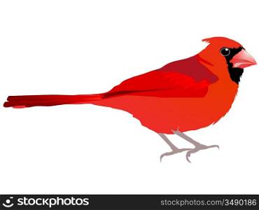 Beautiful red bird. Vector EPS10
