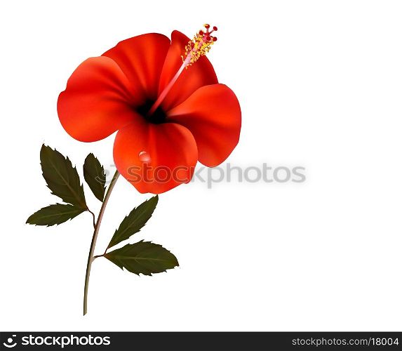 Beautiful red flower background with space for your text. Vector.
