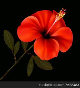 Beautiful red flower on a black background. Vector.