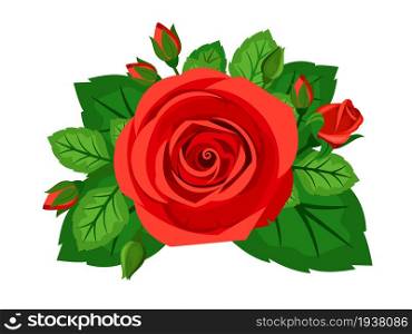 Beautiful red rose bud isolated on white background
