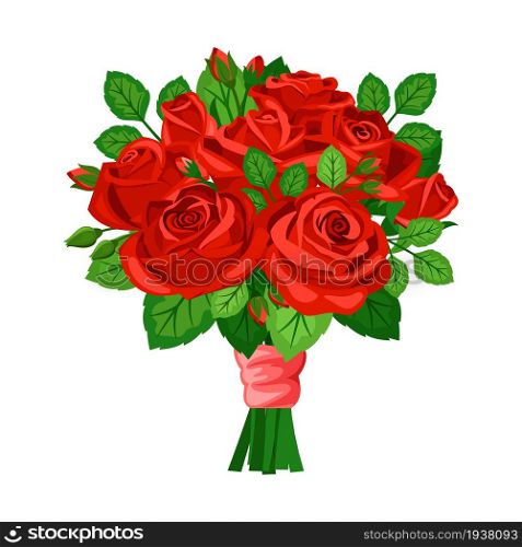 Beautiful red rose with bud isolated on white background