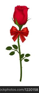 Beautiful red rose with ribbon bow Isolated on white background. realistic gradient mesh vector illustration for valentine's day.