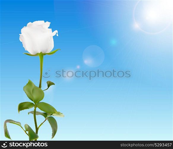 Beautiful Rose Against Shiny Sky Vector Illustration EPS10. Beautiful Rose Against Shiny Sky Vector Illustration