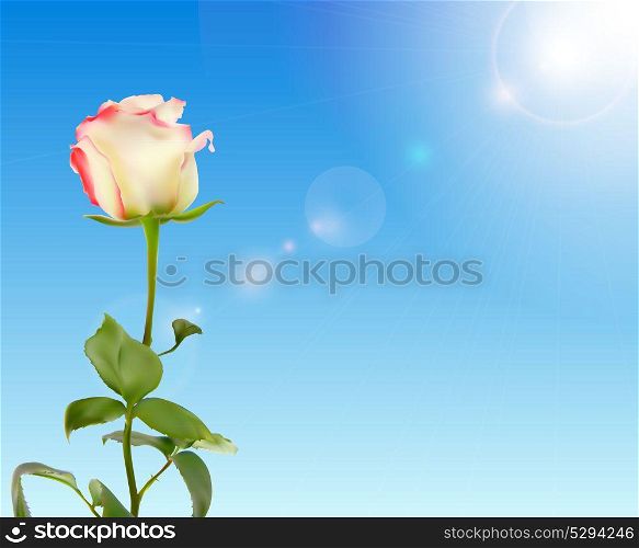 Beautiful Rose Against Shiny Sky Vector Illustration EPS10. Beautiful Rose Against Shiny Sky Vector Illustration