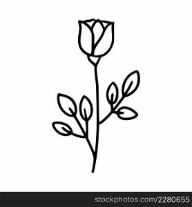 Beautiful rose in doodle style. Branch with a rosebud.
