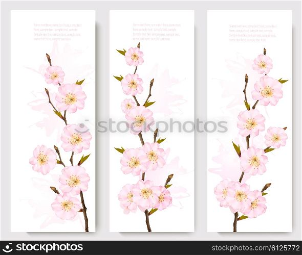 Beautiful sakura branch banners. Vector.