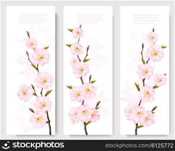 Beautiful sakura branch banners. Vector.