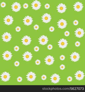 Beautiful seamless daisy background . EPS 10.