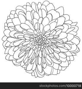 Beautiful sketch flower on white background.. Beautiful sketch flower on white background