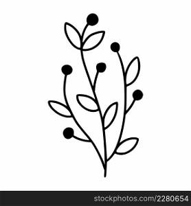 Beautiful sprig of plant with black berries. Doodle style branch.