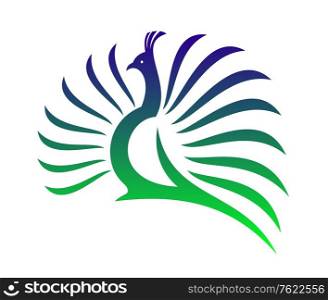 Beautiful stylised vector peacock with its tail feathers opened in a mating display in shades of green and blue on a white background