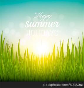 Beautiful summer background with grass and sun. Vector.