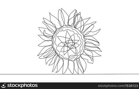 Beautiful sunflower. Continuous line drawing. minimalist illustration. Beautiful sunflower. Continuous line drawing.