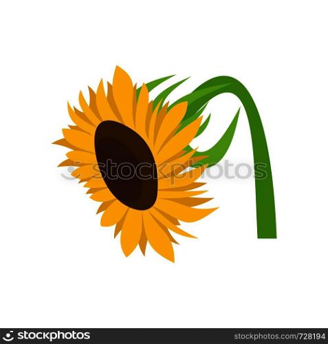 Beautiful sunflower icon. Flat illustration of beautiful sunflower vector icon for web. Beautiful sunflower icon, flat style