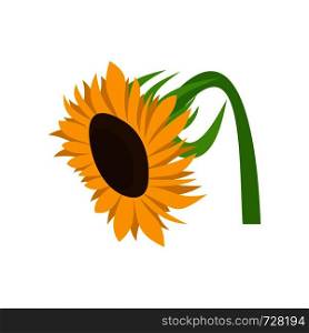 Beautiful sunflower icon. Flat illustration of beautiful sunflower vector icon for web. Beautiful sunflower icon, flat style