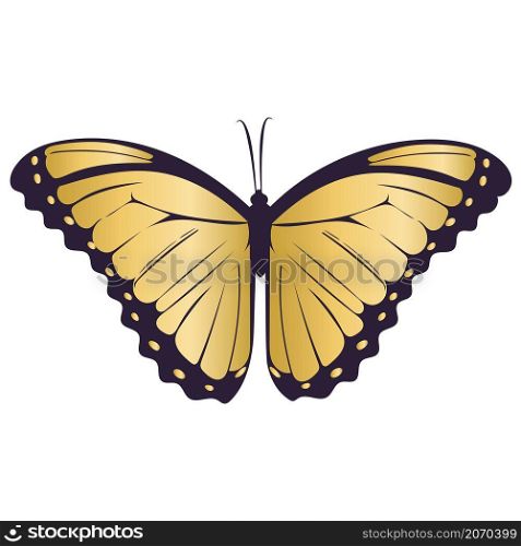 Beautiful symmetrical golden butterfly isolated vector illustration. Gold moth. Beautiful symmetrical golden butterfly isolated vector illustration