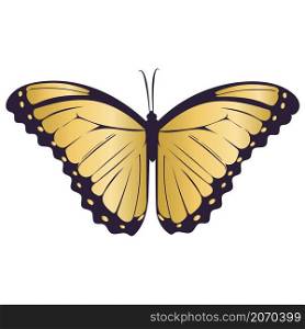 Beautiful symmetrical golden butterfly isolated vector illustration. Gold moth. Beautiful symmetrical golden butterfly isolated vector illustration