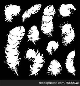 Beautiful Vintage Feathers. Vintage Feather silhouette. Vector set Hand-drawn illustration