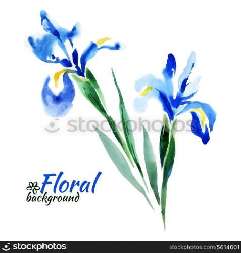 Beautiful watercolor paint blue irises. Vector illustration. Cards of Happy Mother&rsquo;s Day. Cards of Happy Valentine&rsquo;s Day