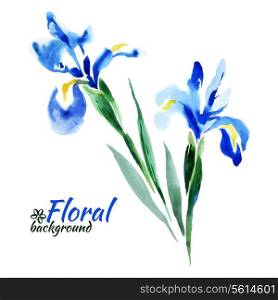 Beautiful watercolor paint blue irises. Vector illustration. Cards of Happy Mother&rsquo;s Day. Cards of Happy Valentine&rsquo;s Day