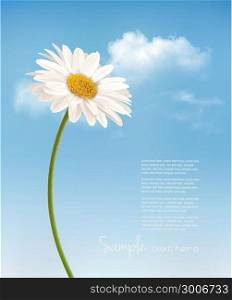 Beautiful white daisy in front of the blue sky. Vector.
