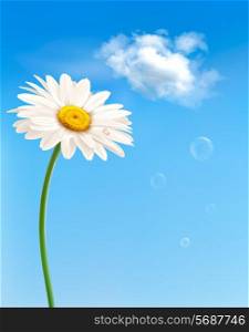 Beautiful white daisy in front of the blue sky. Vector.