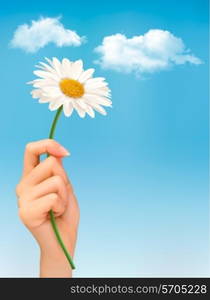 Beautiful white daisy in front of the blue sky. Vector.