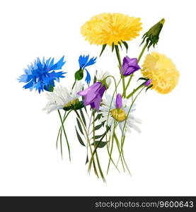 Beautiful wild flowers. Meadow flowers, field flowers. 