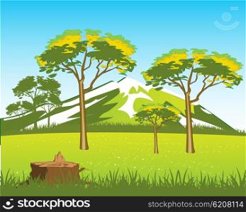 Beautiful wild landscape. Vector illustration of the beautiful wild landscape