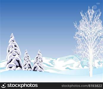 Beautiful winter landscape. Vector illustration of the clean winter day on nature