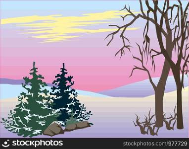 beautiful winter landscape with forest, trees and sunrise. vector illustration