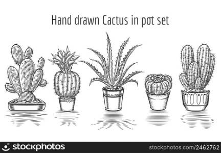 Beauty cacti. Hand drawn cactus in pot set. Plant art graphic, element floral houseplant. Vector illustration. Beauty cacti. Hand drawn cactus in pot set
