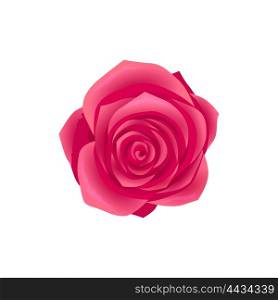 Beauty flower design flat style isolated. Blooming red rose flower with big beautiful petals, summer or spring nature floral plant and graphic blossom exotic natural flora, vector illustration