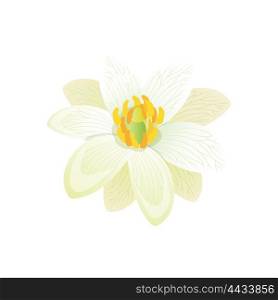 Beauty flower design flat style isolated. Blooming white flower with big beautiful petals, summer or spring nature floral plant and graphic blossom exotic natural flora, vector illustration