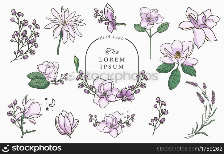 Beauty lavender,magnolia collection.Vector illustration for icon,sticker,printable and tattoo